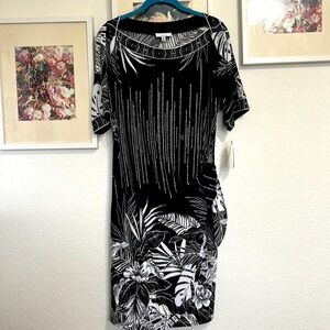 Signature by Robbie Bee dress